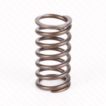 CLUTCH SPRING 748B-900M-SS/02